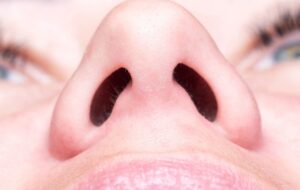 چرا به جای یک سوراخ بزرگ، دو سوراخ بینی داریم؟ چرا به جای یک سوراخ بزرگ، دو سوراخ بینی داریم؟