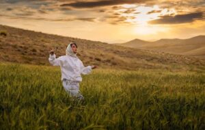 «بالماسکه» به جشنواره فجر داده شد