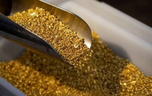 انفجار قیمت طلا در راه است؟/ پیشگویی این بانک بین المللی درباره قیمت طلا را بخوانید