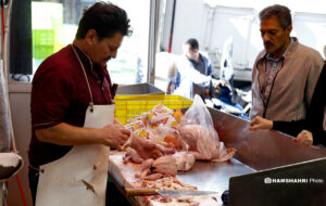 مرغ ارزان می‌شود؟ / تخصیص ارز ترجیحی چقدر بر بازار مرغ و گوشت تاثیر گذار بود؟