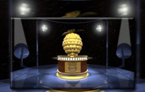 نامزدهای تمشک طلایی ۲۰۲۶ اعلام شد / نیکلاس کیج و سیلوستر استالونه در صدر بدترین بازیگران سال نامزدهای تمشک طلایی ۲۰۲۶ اعلام شد / نیکلاس کیج و سیلوستر استالونه در صدر بدترین بازیگران سال